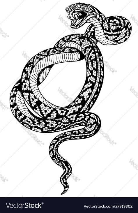 Curled Up Snake Clipart Sketch