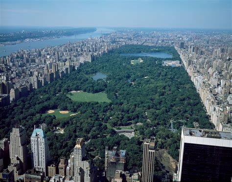 Aerial View Of New York City In Which Central Park Dominates Library