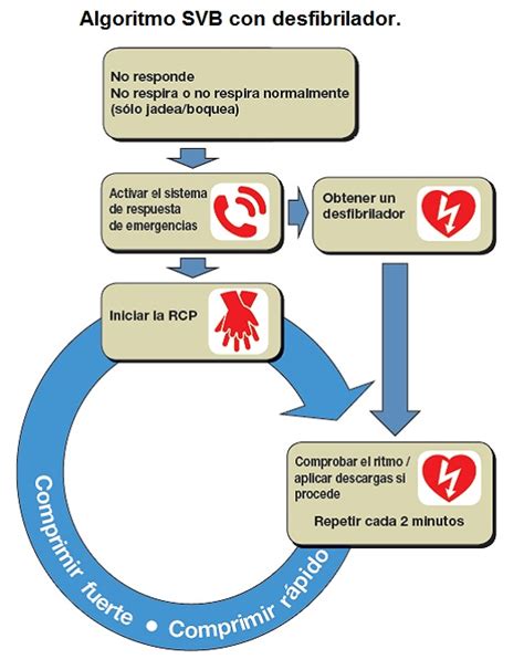 Formacion En Emergencias Tebmor Manual De Soporte Vital Basico