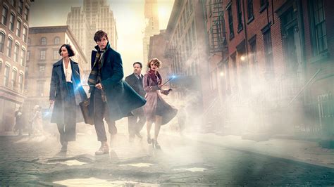 20 Fantastic Beasts And Where To Find Them Hd Wallpapers And Backgrounds