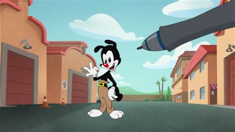 animaniacs 2020 original yakko by yesieguia on deviantart