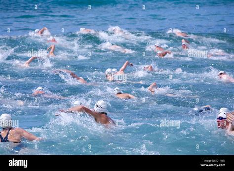 Swimmers Compete In The Avalon Beach Ocean Swim Held In Year On Sydney