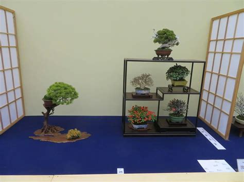 There Are Many Bonsai Plants On Display In This Room