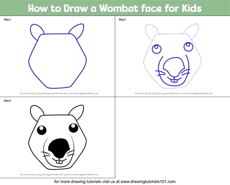 How To Draw A Wombat Face For Kids Printable Step By Step Drawing Sheet