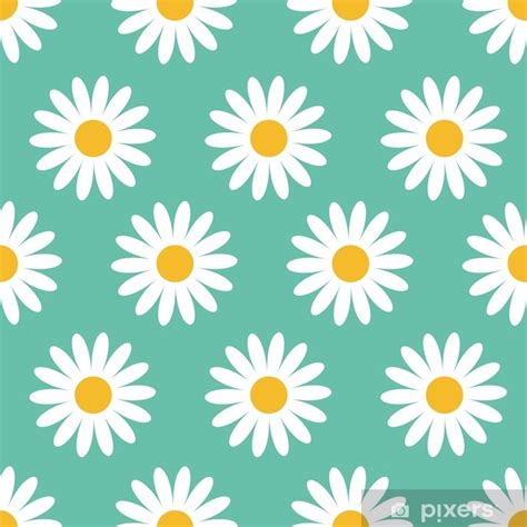 Cute Camomile Plant Collection Seamless Pattern White Daisy Chamomile