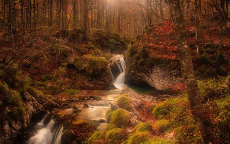 Download Wallpaper 3840x2400 Autumn Waterfall Stream Forest 4k Ultra