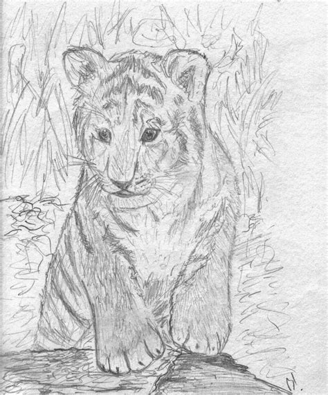 Tiger Cub By Beamaster On Deviantart