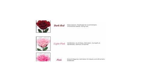 rose color meaning chart