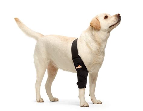 Buy Neoally Dog Elbow Brace Protector Pads For Canine Elbow And