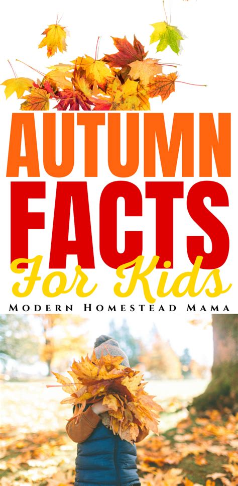 Fun And Interesting Autumn Facts For Kids Modern Homestead Mama