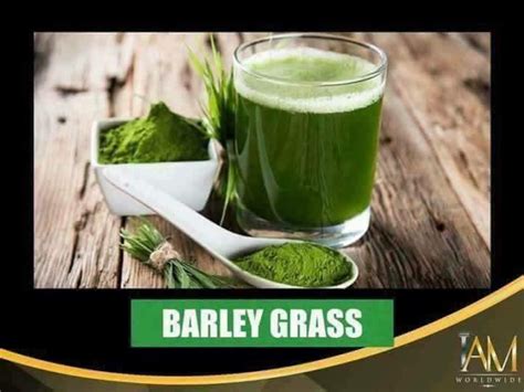 Amazing Pure Organic Barley 100 Capsbox Vegetable Capsule Etsy