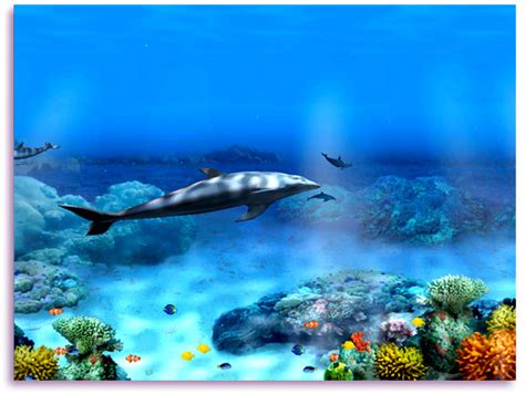 Living 3d Dolphins Screensaver Full Free Downloads Online File