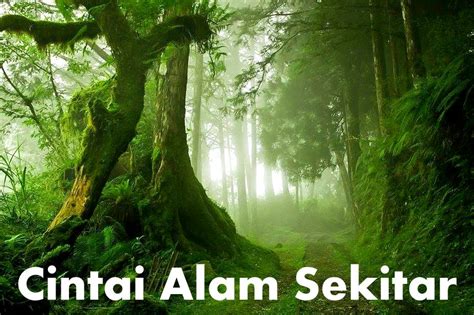 Maybe you would like to learn more about one of these? pemandangan alam: Cara Mencintai Alam Sekitar