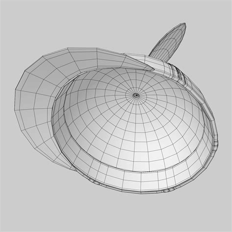 Propeller Hat 3d Model 16 3ds C4d Fbx Unknown Max Ma Obj Free3d