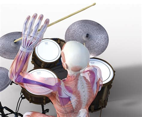 10 Drumming Myths You Should Ignore Drum Magazine