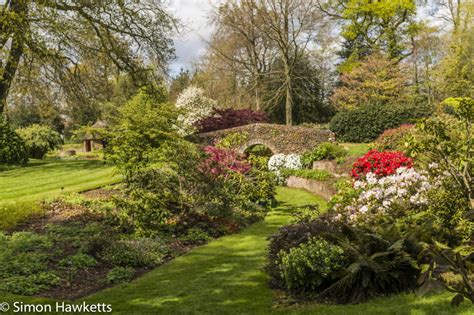 His famous nursery, blooms of bressingham is right next door and his son, adrian bloom's wonderful garden, foggy bottom is about 100 yards away. Pictures of Bressingham gardens, near Diss in Norfolk ...