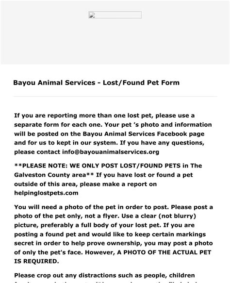 Lost And Found Pet Form Template Jotform