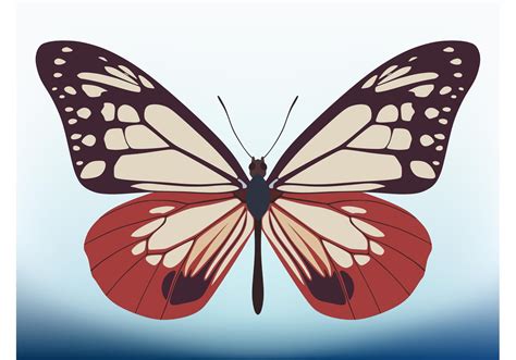 Butterfly Vector Design Download Free Vector Art Stock Graphics And Images