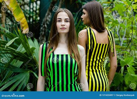 Young Women In Elegant Striped Dresses Stock Image Image Of Caucasian Adult 121433497