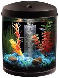 Gallon Fish Tank eBay