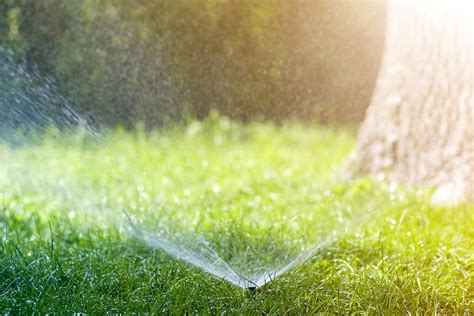How much water your lawn needs really depends on how much. Common Summer Lawn Watering Mistakes | IDL Company