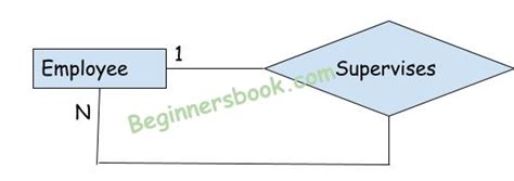 Dbms Recursive Relationship In Er Diagrams Beginnersbook