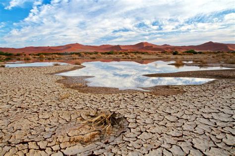 Desert Scene With Water Stock Photography Image 20873842
