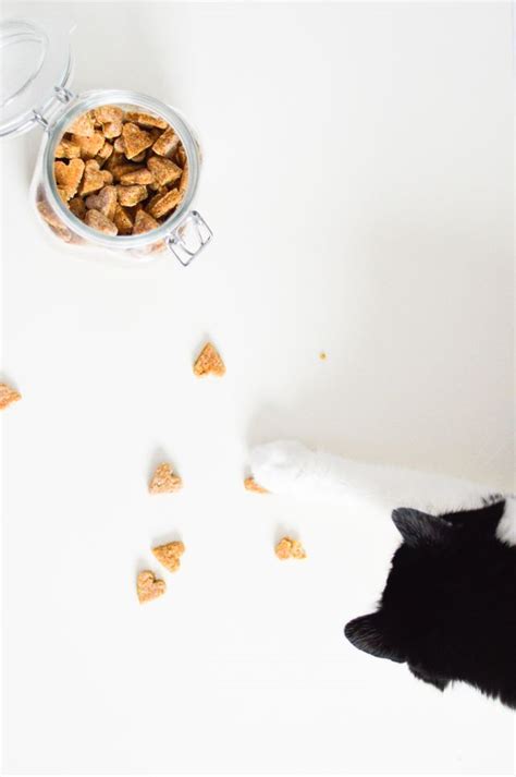 These original recipe cat treats from purina are a popular choice with cats and cat parents. Homemade chicken treats for cats and dogs | Recipe in 2020 ...