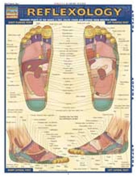 Reflexology Charts And Posters