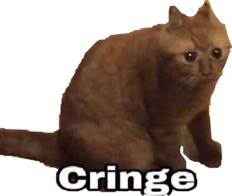 Cringe Cat Freetoedit Sticker By Wowitsmediobrando