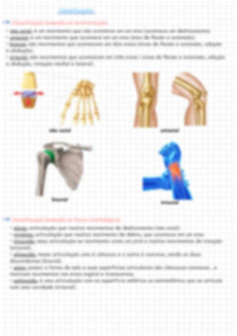 Solution Anatomia Sist Mica Sistema Articular Studypool