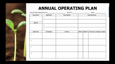 annual operations plan template