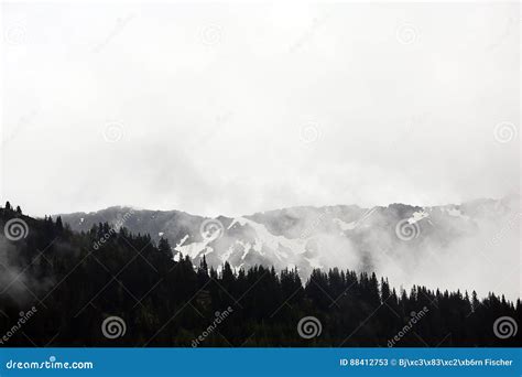 Foggy Clouds Rising From Alpine Mountain Forest Stock Image Image Of