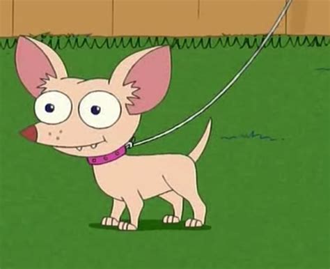 Pinky El Chihuahua Phineas Y Ferb Wiki Fandom Powered By Wikia