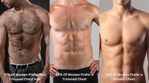 Male Body Hair Stages