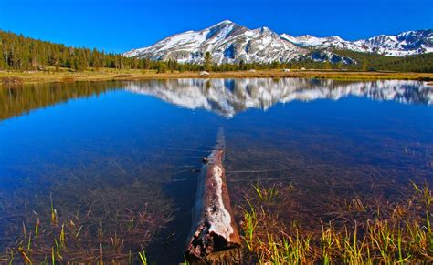 Nature Landscape Mountain Lake Water Reflection Forest Snowy