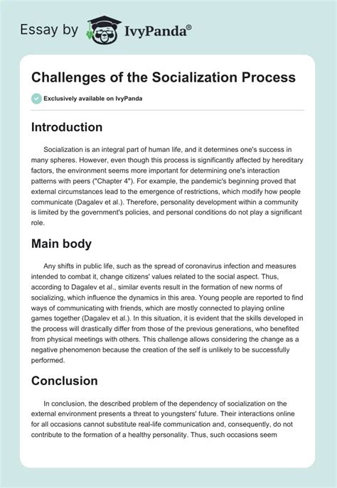 Challenges Of The Socialization Process 283 Words Essay Example