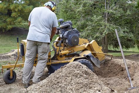 3 Reasons To Schedule Stump Grinding Services Tidwells Tree Service