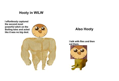The Owl House Hooty Meme