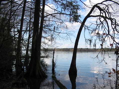 Lake Talquin State Park Lets Hike