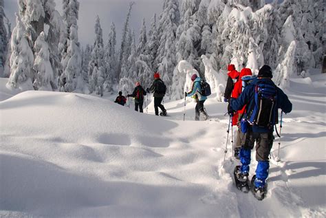 The Health Benefits Of Snowshoeing Mountain Trek Fitness Retreat