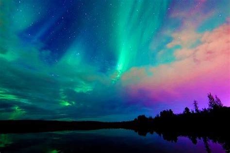 Northern Sky In 2020 Alaska Northern Lights Northern Lights See The