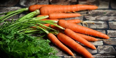 Interesting Facts About Carrots Just Fun Facts