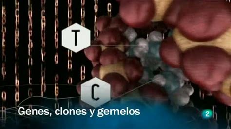 Genes Clones Y Gemelos Por Elsa Punset Rtvees