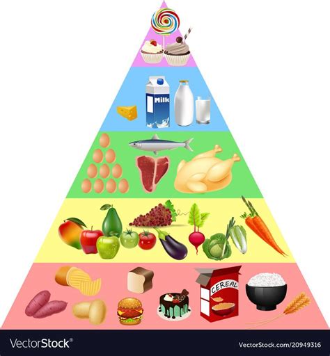 Food Pyramid Chart Download A Free Preview Or High Quality Adobe