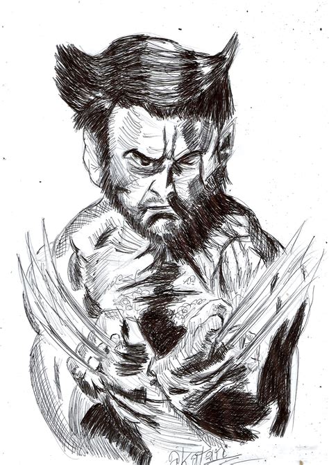 Wolverine Drawing Skill