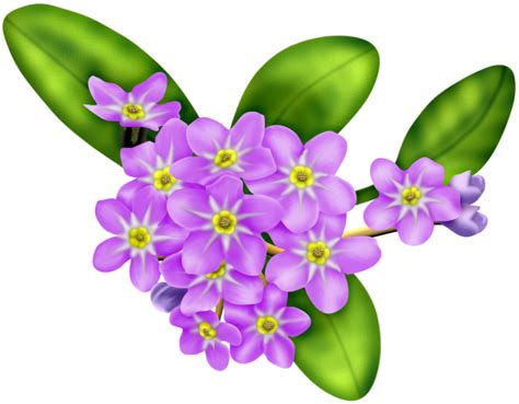 fleurs,flores,flowers,bloemen,png (With images) | Flower meanings, Purple flowers, Flowers