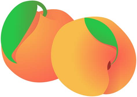 Peach Clip Art Free Clipartix