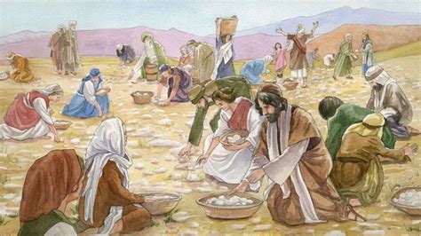 God Provides Bread In The Wilderness Exodus Chapter 16 Lets Talk