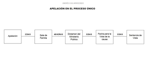 Andrés Eduardo Cusi Arredondo El Proceso De Alimentos AndrÉs Cusi